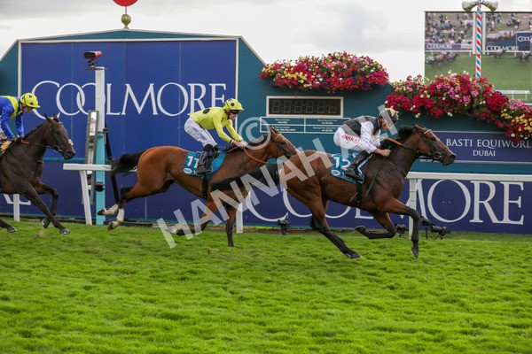 230824-Race 7-Treasure Time-8571 - Race 7 5.20pm Sky Bet Mile Handicap