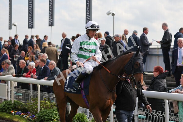 yr11052022r4-14 - Race 4 3.35pm Tattersalls Musidora Stakes