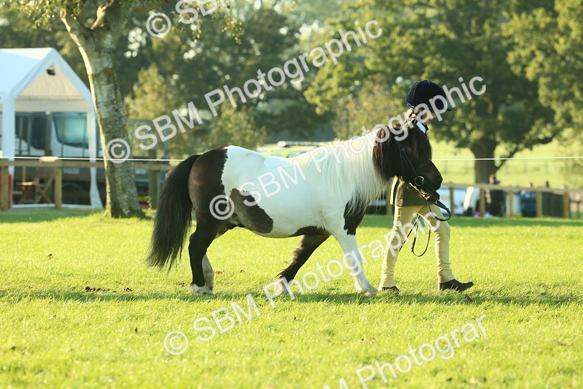 SBM_57284 - S37 - Starters In Hand Showing