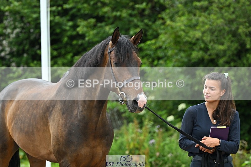 240718A-105308-01608 - Trot Up 1pm to 2pm