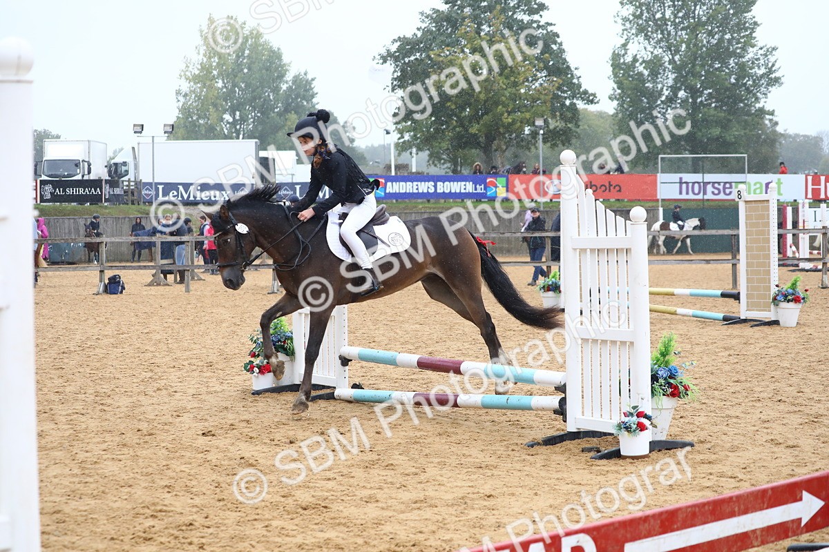 SBM_71649 - J4 - Mini Tour Junior Pony 45cm Championship