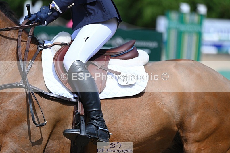 240525-141344-15614 - 442-FERNHILL_ZORO-Cassie_Sanger