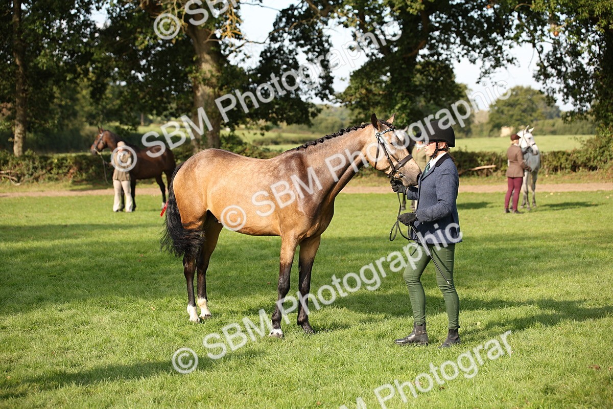 SBM_60121 - S53 - Hunter In Hand