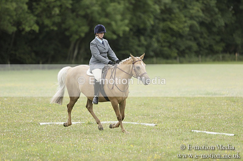 BVR160717-1200 - Class 2 Dressage 16/07/17