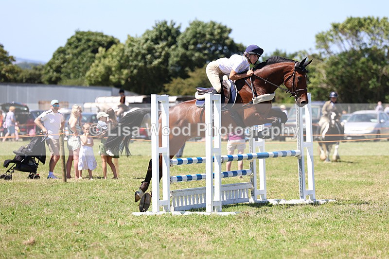 3E7A5480 - Class 9: Senior British Novice/90cm open