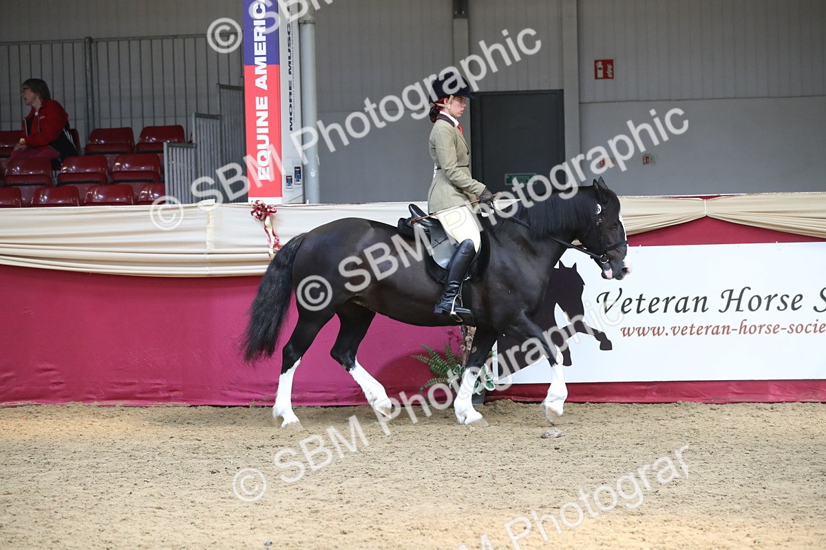 SBM_16303 - Class 502 M&M Ridden Supreme Final