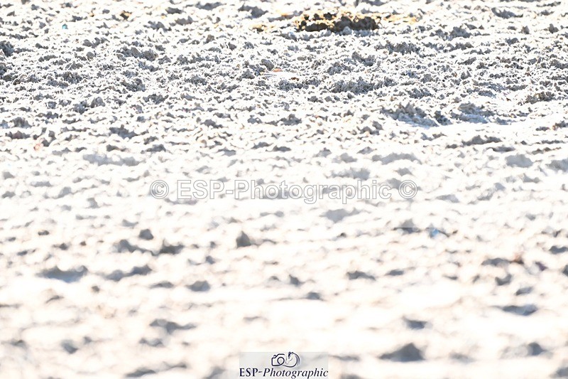 231110-101532-00008 - Cls 1 Prelim 15Q