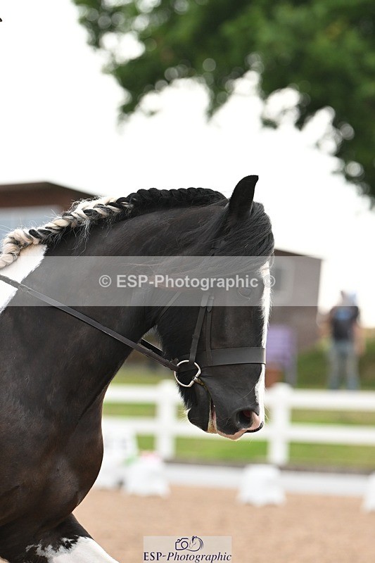 250620-083817-02238 - BD Cls 1 - Preliminary 5, Start to 9.20am