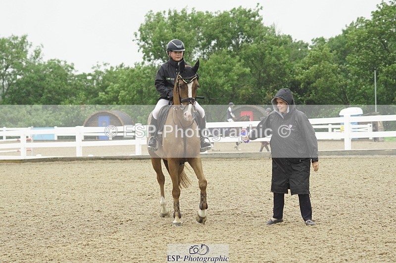 230722A-133930-09447 - Cls 15, 1 Star Bronze 1.15m