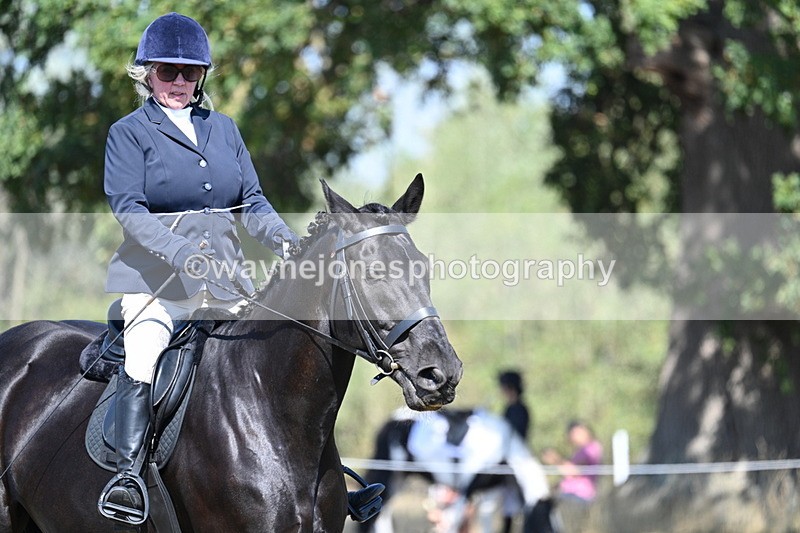 WJ7_9874 - Time 11:03 to 11:28