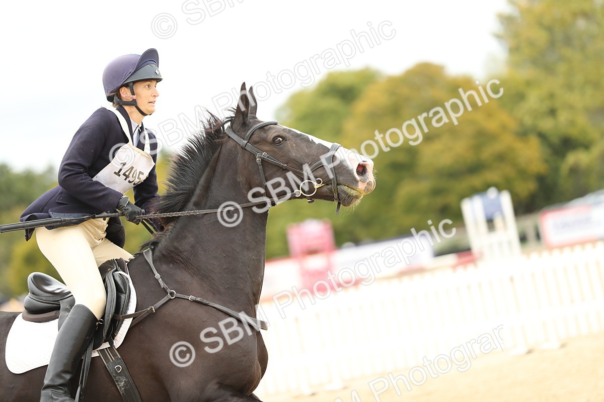 SBM_65934 - J48 - Pairs Jumping Open 70cm & 85cm