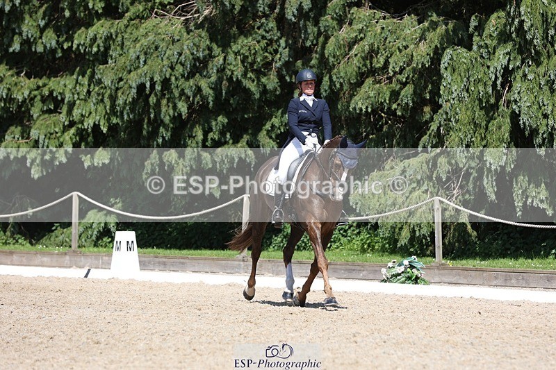 230526-145442-06576 - 376-DIRECT_BALLYTARSNA_DUCAREL-Jodie_Amos-WEDTrotUp+DR