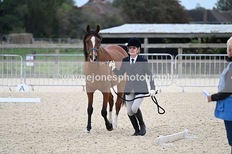 WJ7_1863 - Class 1 & Champs