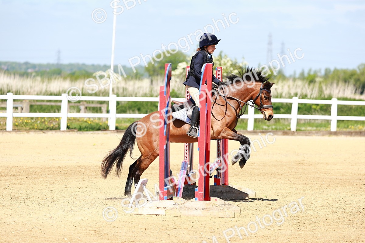 SBM_007233 - Class 3 - 60cm