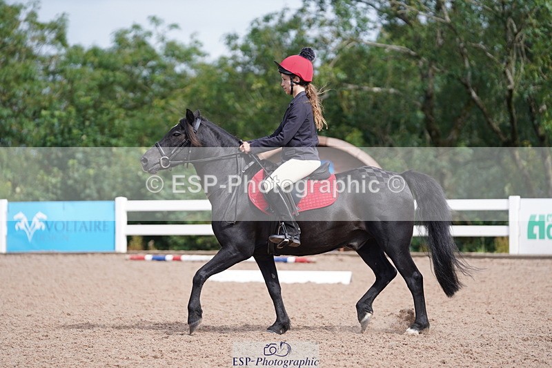 240809A-102548-00539 - Dressage Competition