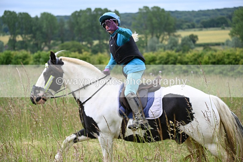 WJ6_8143 - Camera 1 Gallops