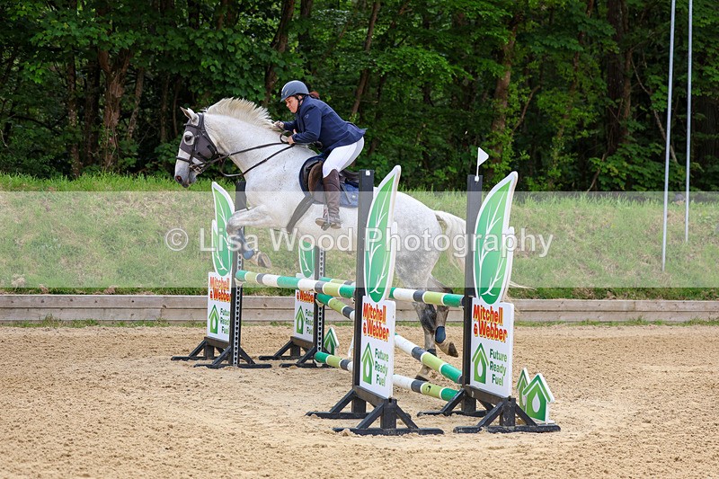 3E7A8541 - Class 4: Senior British Novice/90cm open