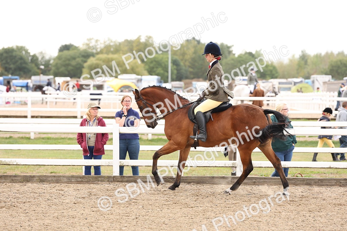 SBM_04219 - Class 54 - Riding Club Horse/Pony