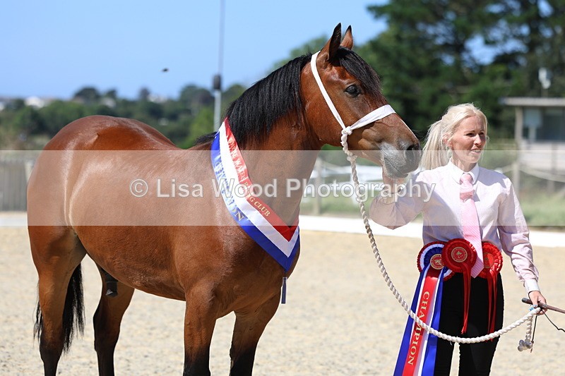 3E7A9946 - In Hand Championship