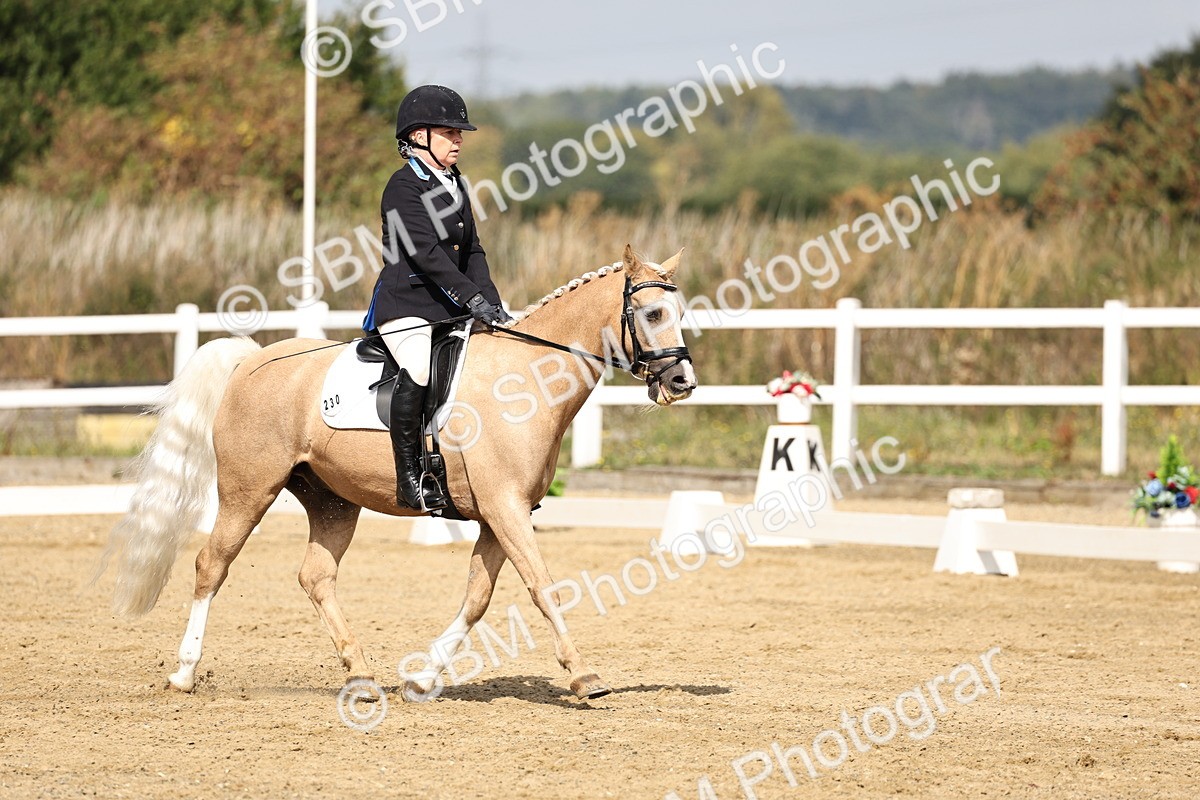 SBM_018206 - Class 16 - Novice 5 - 11.12-12.01