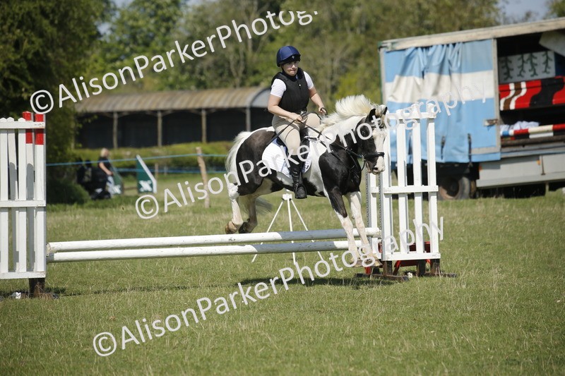 20250427-2224 - Class 13 - Novice Jumping 60cm