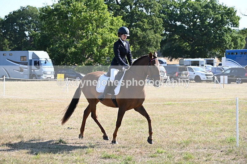 WJ6_7209 - Class 33 Rescue Pony