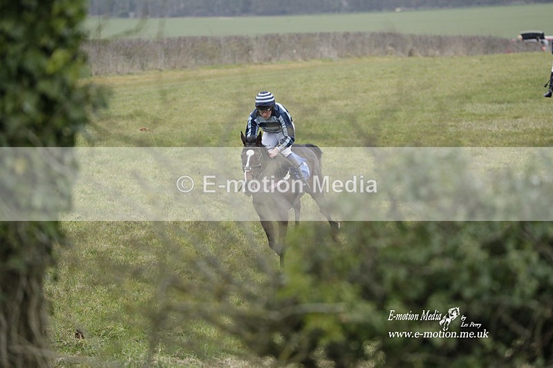 PtP 040323 353 - Duke of Beauforts Hunt Point-to-Point Didmarton 04/03/23