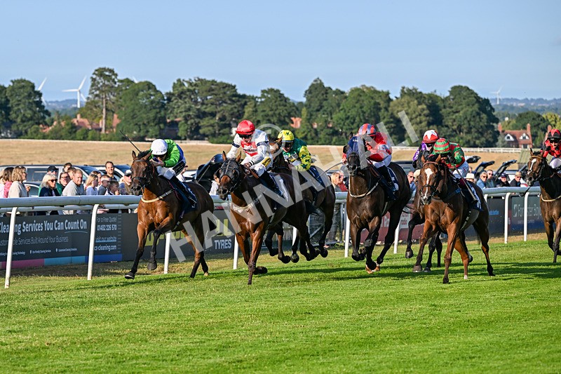 200726-Race 2-Opal Storm-6196 - Race 2 19.00pm Happy Birthday Katie Exon Handicap