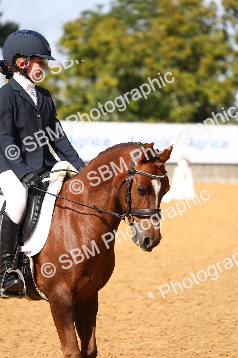 SBM_42668 - D21 - Junior Championship Intro 1