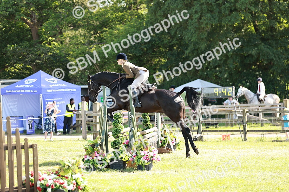 SBM_19165 - Class 115-116 - LIHS BSHA Rising Star Working Hunter & Show Horse