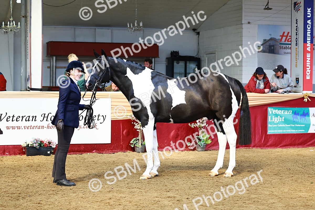 SBM_23266 - Class 903 - Supreme Final - IH Pre Vet