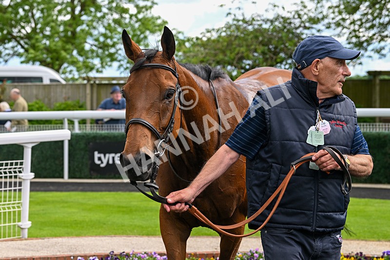 290524-Race 5-Distinction-6547 - Race 5