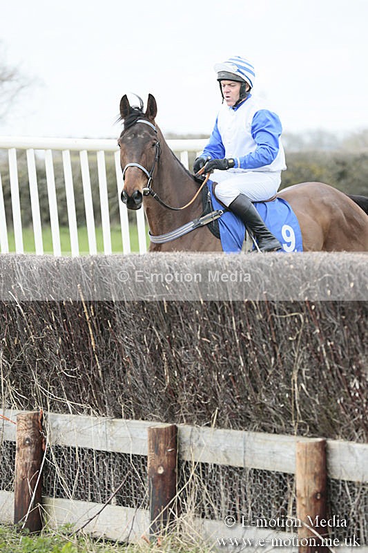 PtP 230319 51 - VWH Hunt Siddington Point-to-Point Racing 23/03/19