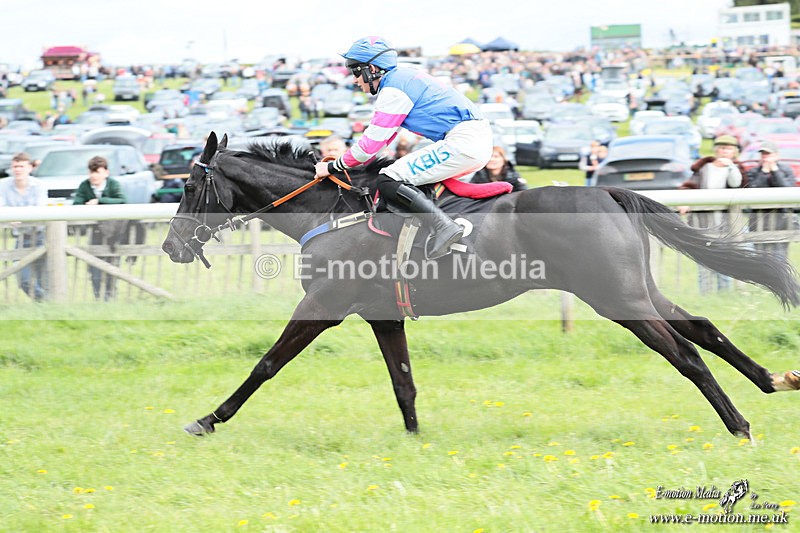 PtP 180426 480 - Worcestershire Hunt PtP Chaddesley Corbett 18/04/26