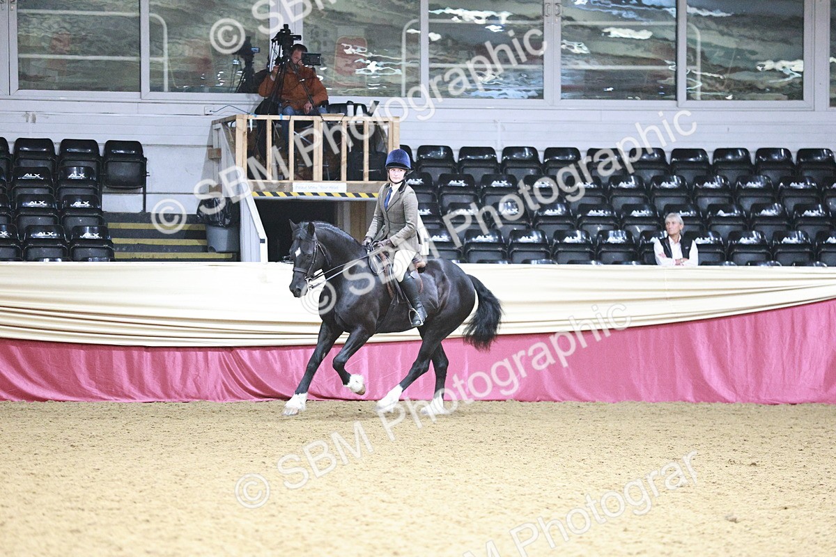 SBM_03503 - Class 6A Area Ridden Pre-Vet
