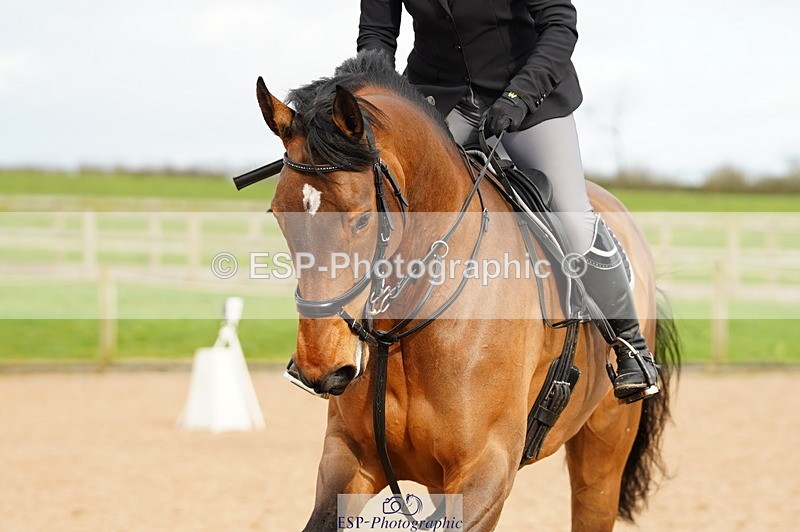 240317A-155124-07842 - Cls 29 Snr Foxhunter