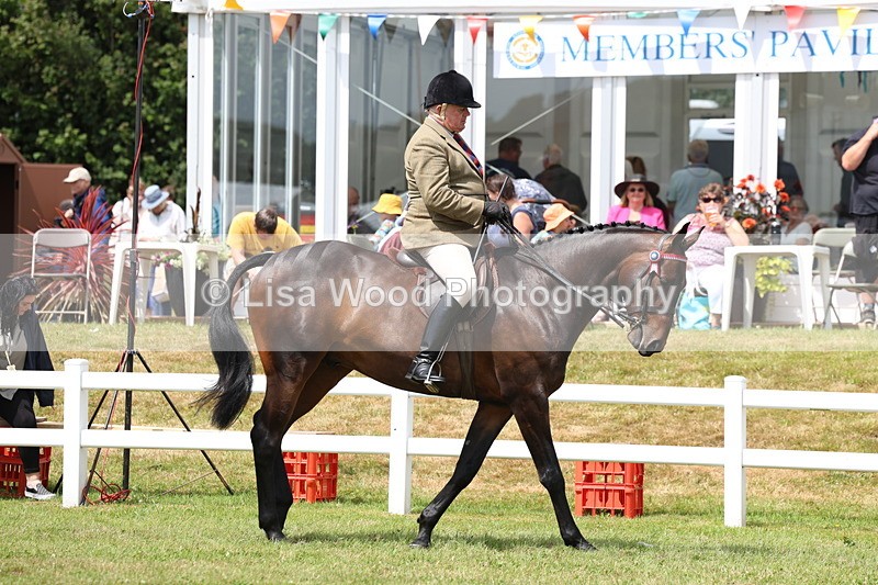 3E7A0794 - Class 8: Open Riding Horse/Hack
