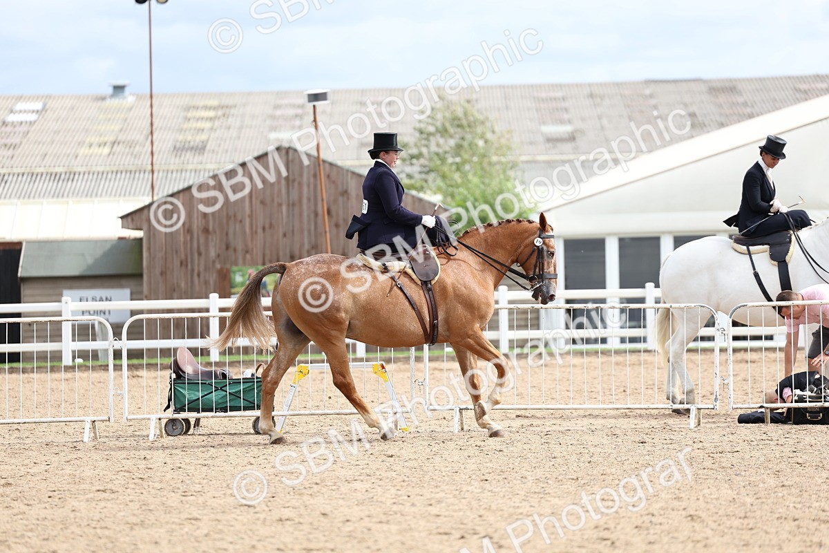 SBM_03352 - Class 23 - SSA Classical (any age)