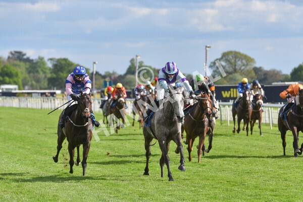 yr22052021r7-42 - Race 7 5.25pm Hudson Quarter York Palace Capital Stakes - Gentleman Amateur Riders Race