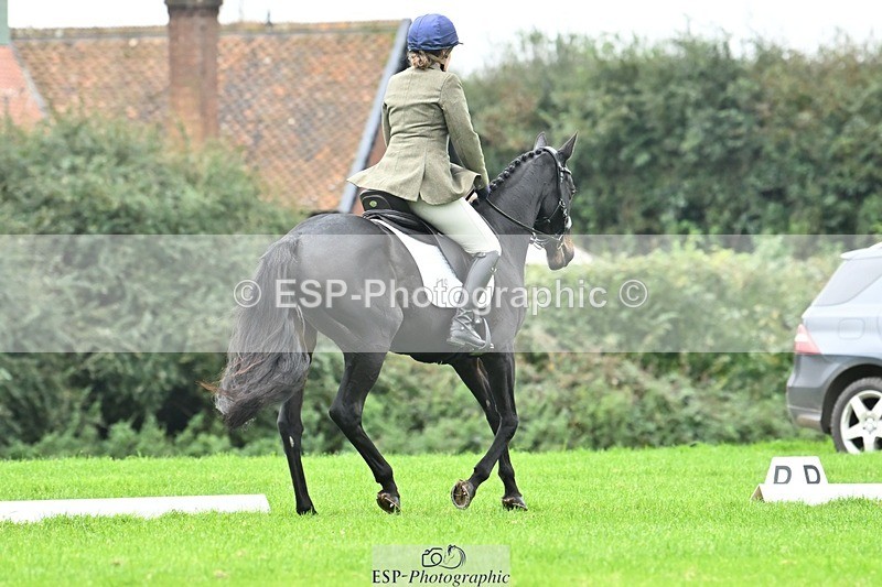 241024-134655-04205 - 329-Lisa.Donner-NOTNOWBABE