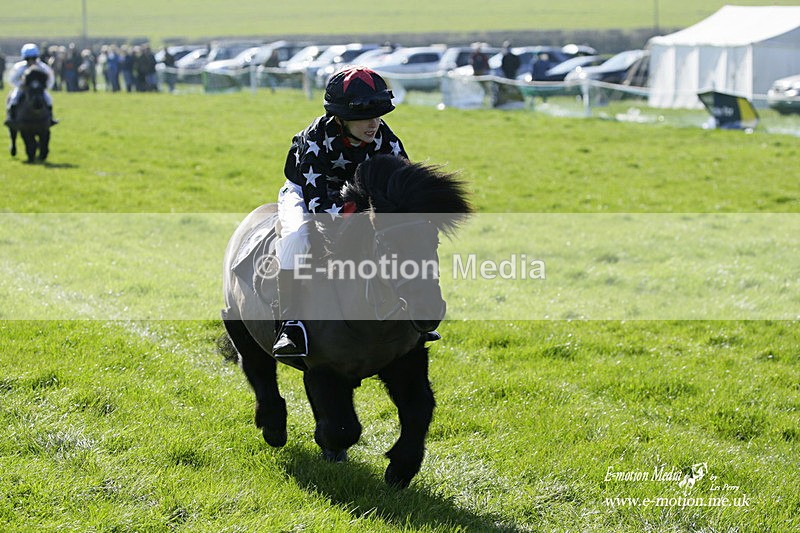 PtP 190322 33 - Wilton Hunt PtP Milborne St Andrew 19/03/22