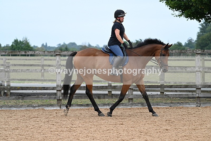 WJ7_8255 - Poles 11:00am