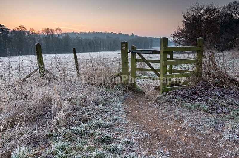Goldings Kissing Gate:90E - Earth: Close to Home