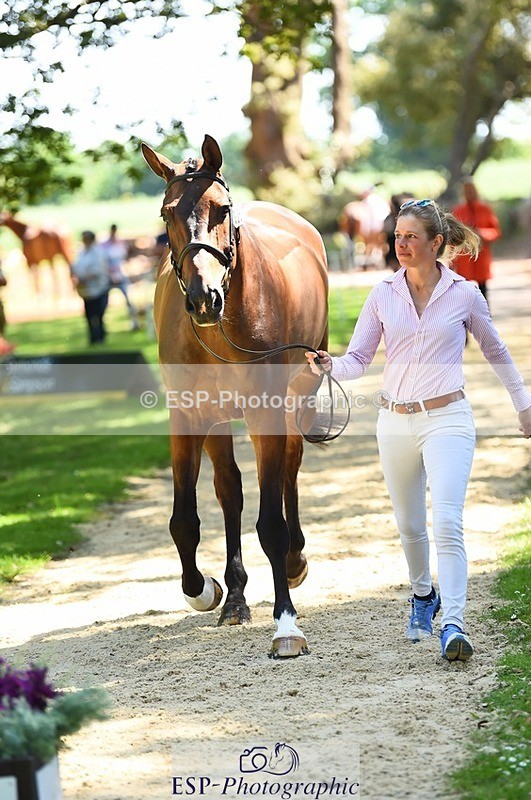 230524-150400-00044 - 305-BARRINGTON_57-Izzy_Taylor-WEDTrotUp+DR