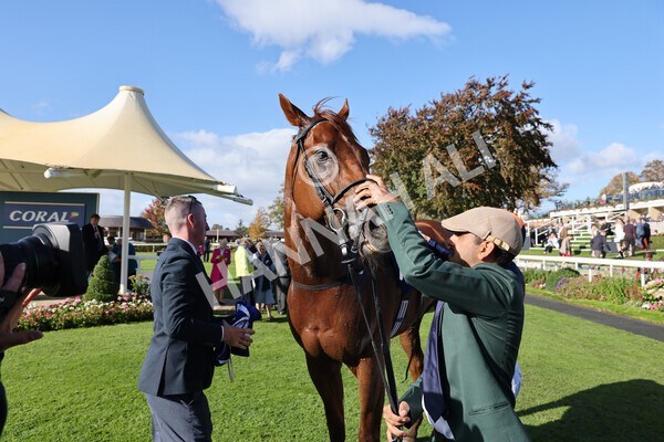 yr08102022r3-56 - Race 3 2.40pm The Coral 'Beaten-by-a-Length' Free Bet Handicap