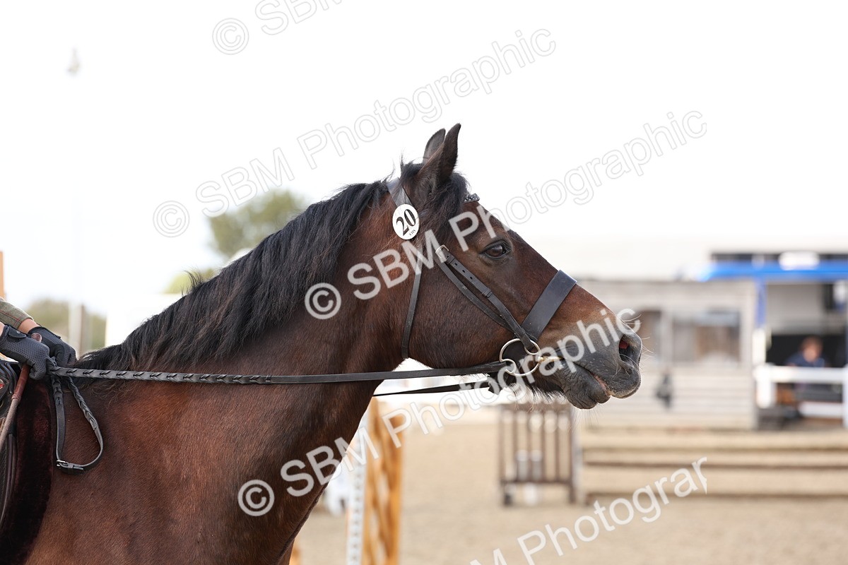 SBM_07392
