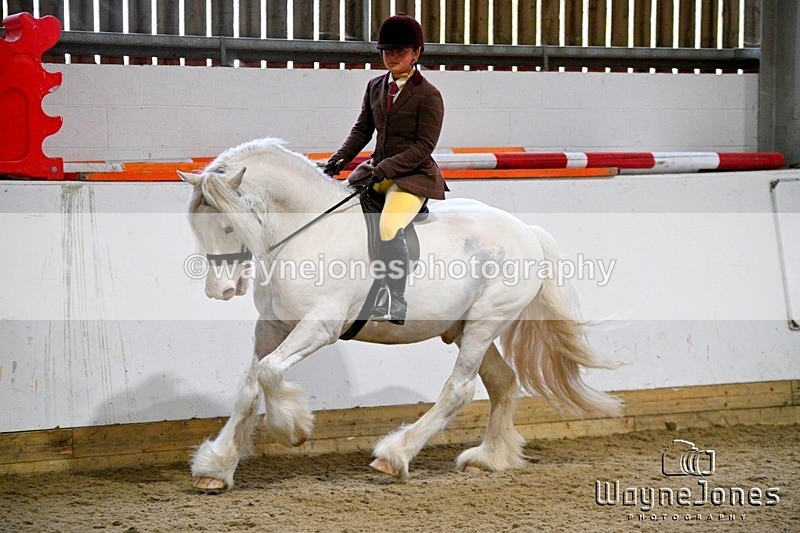 WJ7_4202 - Edited examples