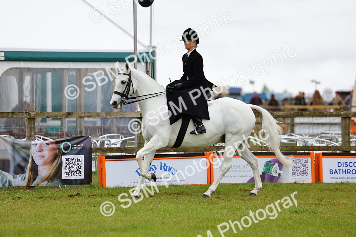 SBM_02736 - Class 9-11 Side Saddle including LIHS Rising Star Ladies Show Horse