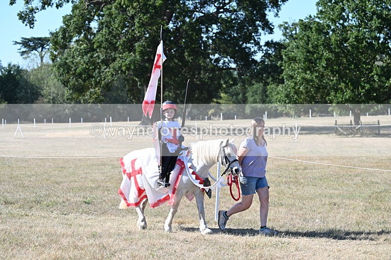 WJ7_2433 - Class 45 Fancy Dress (My Fav)