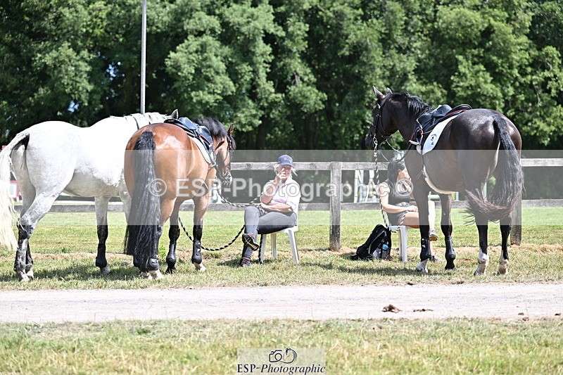 250704A-140416-11815 - Cls 23 Snr Foxhunter